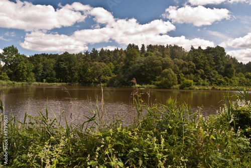 pond with forest around near Rybnik city 