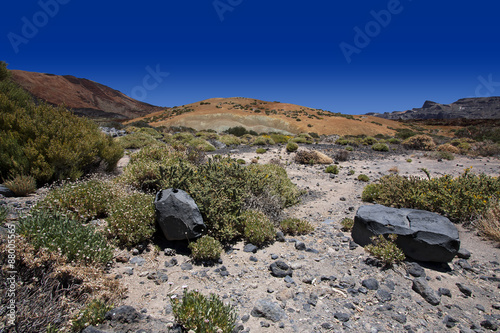 U podnóża wulkanu Teide na Teneryfie
