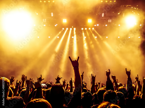 cheering crowd at a rock concert