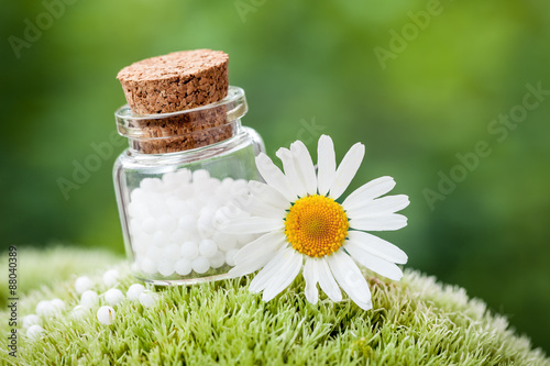 Bottle of homeopathy globules and daisy flower on green moss.