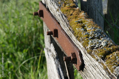 Moss on an old farm gate