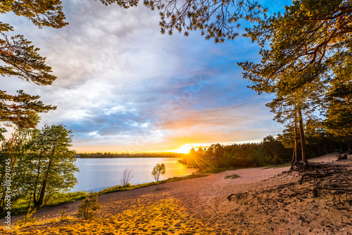 Sunset on a sandy beach in a pine forest near the village