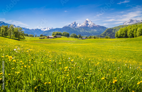 Idyllic landscape in the Alps with green meadows and flowers