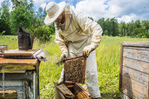 Beekeeper is working with bees and beehives on the apiary.