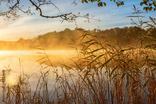 Reeds at the water's edge and autumn fog on the lake at sunrise