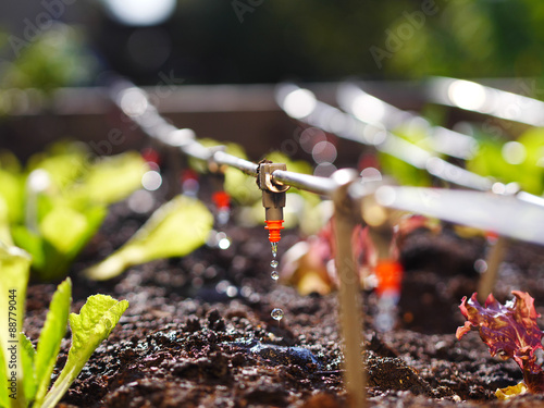 irrigation system in raised garden bed