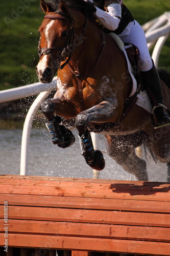 Horse at water jump. Horse and rider at a water jump competing in an equestrian competition.