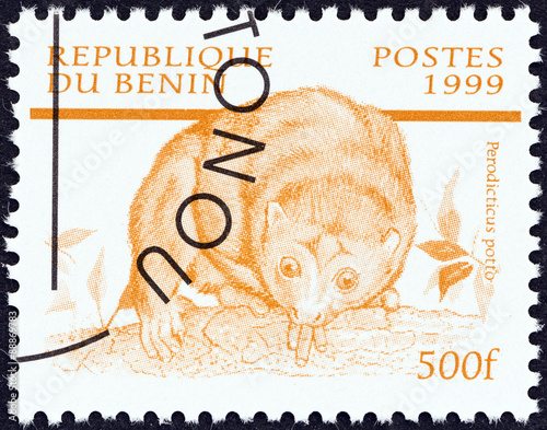 Potto, Perodicticus potto (Benin 1999)