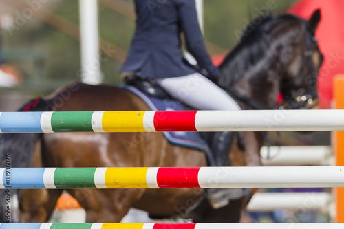 Gate Poles Horse Show Jumping 