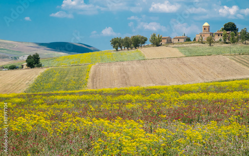 Sicilian countryside in the vicinity of Corleone