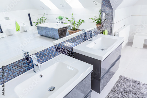 Two basins in bathroom