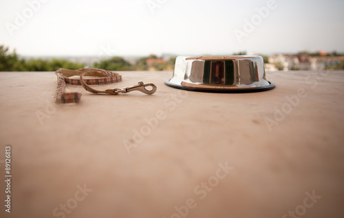 Grey bowl and collar