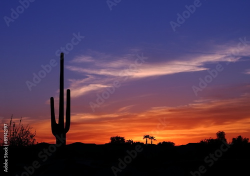  Beautiful colorful sunset in the Arizona desert with Silhouette of Cactus and palm trees off in the distance