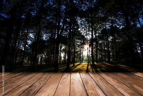 Wood floor and forest with sunrise background