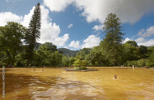 Ferruginous hot water spring in Sao Miguel, Azores. Portugal