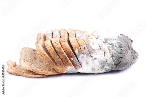 Mouldy bread