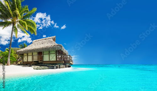 Tropical bungallow on the amazing beach with palm tree
