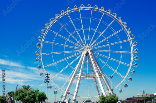 Giant Ferris Wheel in park