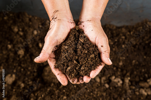 close up hand holding soil peat moss