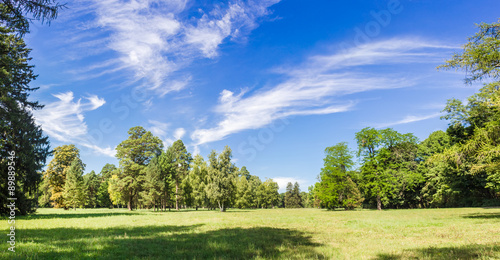 Glade in the park in a summer sunny day