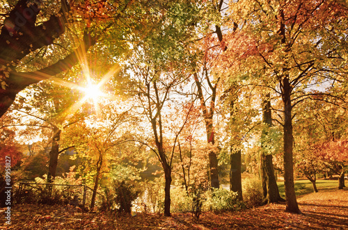 Goldener Oktober: Herbstlandschaft mit Abendsonne :)