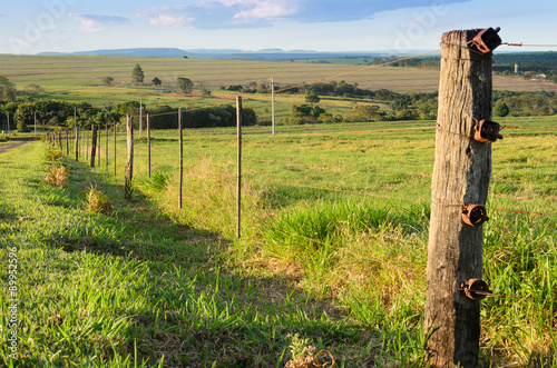 Linha de cerca em uma fazenda no interior de São Paulo