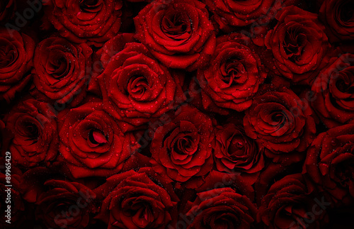 Róże z kroplami wody