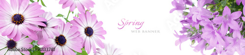 Spring web banner