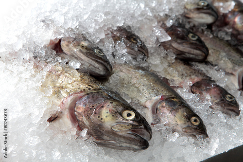 Markthalle Kassel : Stand mit frischem Fisch