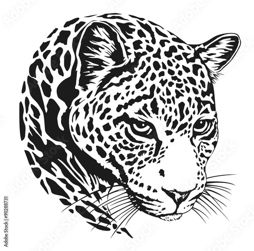 jaguar head lineart