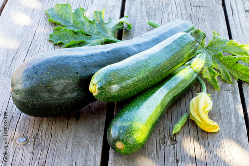 Harvest of fresh zucchini on the wooden background