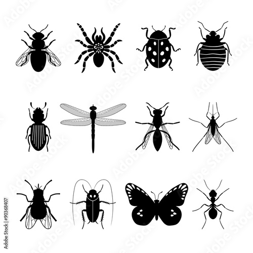 Insects icons