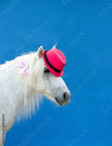Pony mit Hut