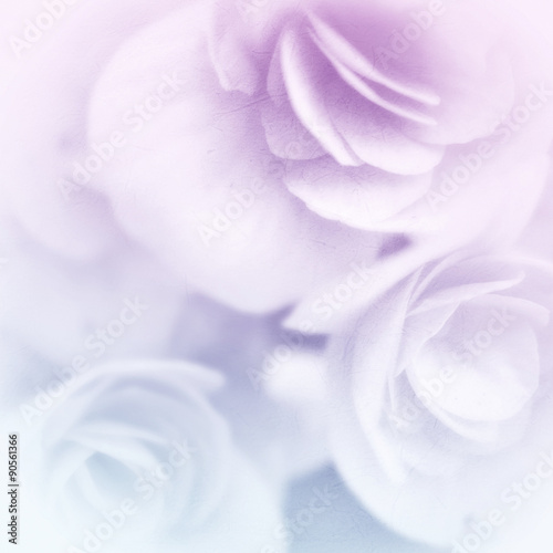 sweet color rose petal in soft and blur style on mulberry paper texture 