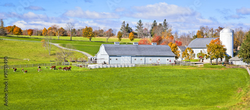 Generic Dairy farm