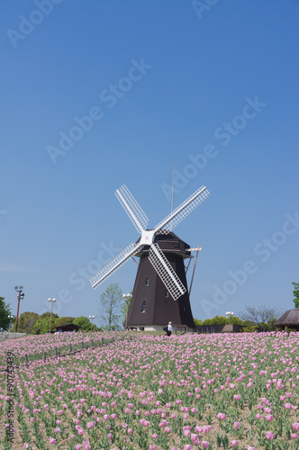 Windmills with vibrant tulips in osaka park. 