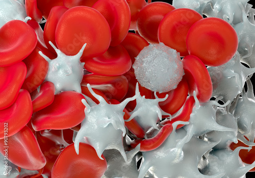 red blood cells,activated platelet and white blood cells microscopic photos