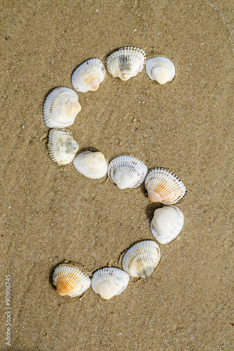 alphabet made using sea shells on seamless sand background