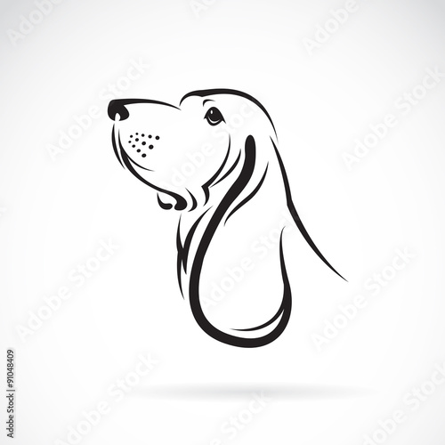 Vector of a basset hound head on white background. Pets. Animals.