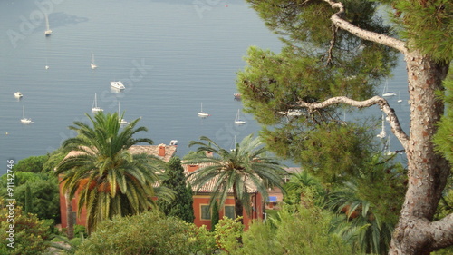 wille i palmy - Lazurowe Wybrzeże w okolicy Nicei
