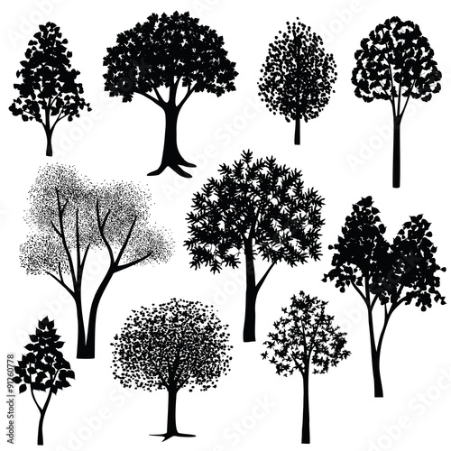 hand drawn trees silhouettes