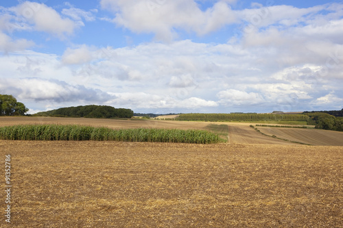 agricultural scenery
