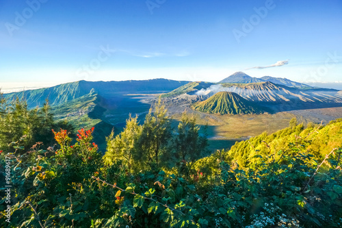 Bromo volcano at sunrise,Tengger Semeru National Park, East Java, Indonesia with beautiful flower as foreground. View from Penanjakan 2