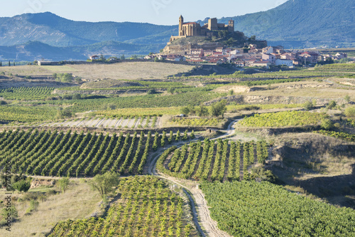 Vineyard, San Vicente de la Sonsierra as background, La Rioja (Spain)