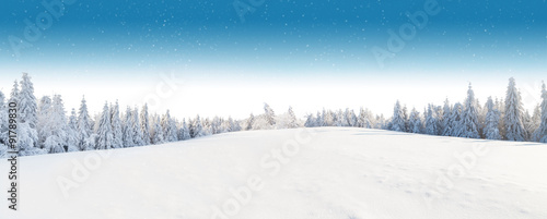 Winter snowy landscape