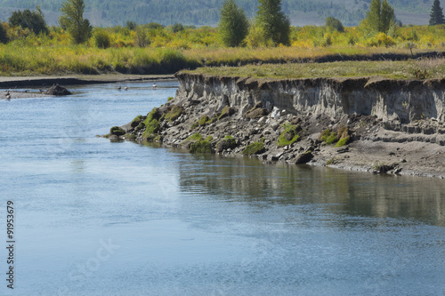 Bank erosion on the Buffalo Fork River, Moran, Wyoming.