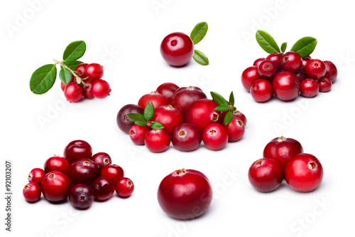 Cranberry,foxberry (lingonberry) isolated set
