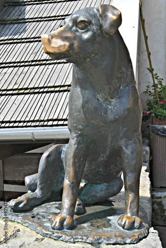 Kazimierz Dolny, pomnik psa na rynku
