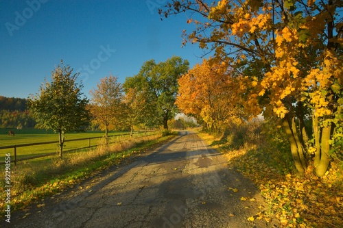 jesień z drogą