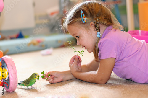 Green Budgerigar (domestic budgie) on floor